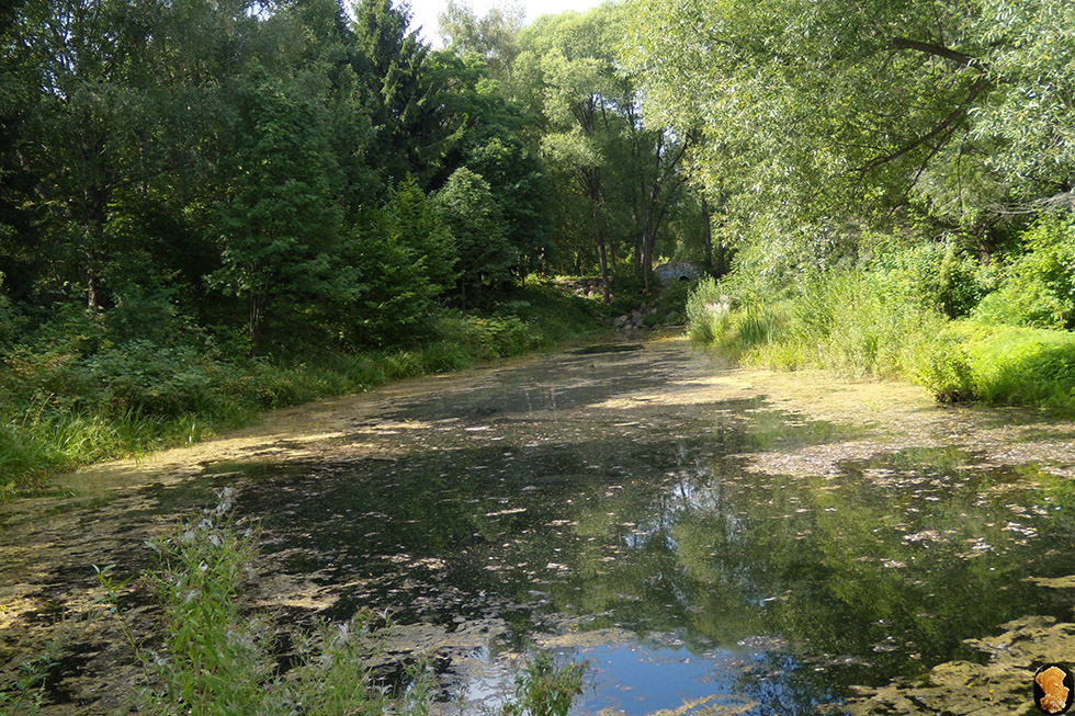 Дендропарк