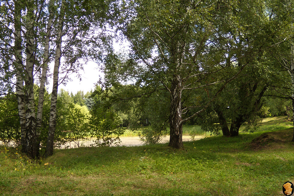 Дендропарк