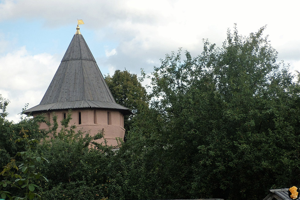 Спасо-Евфимиев монастырь