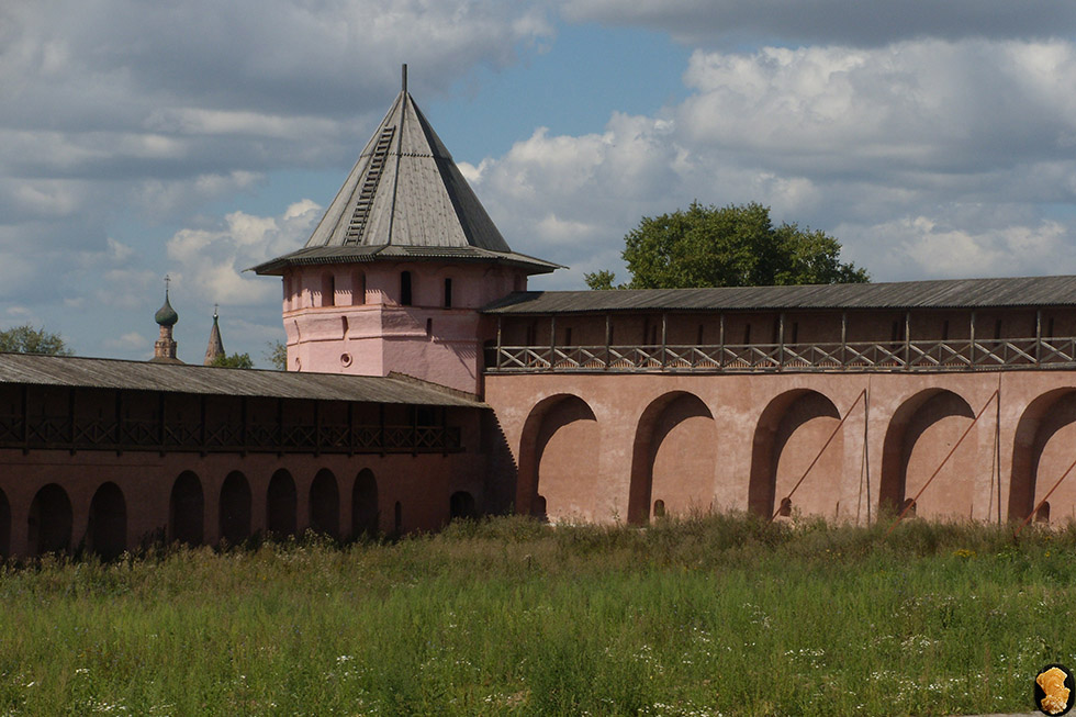 Спасо-Евфимиев монастырь