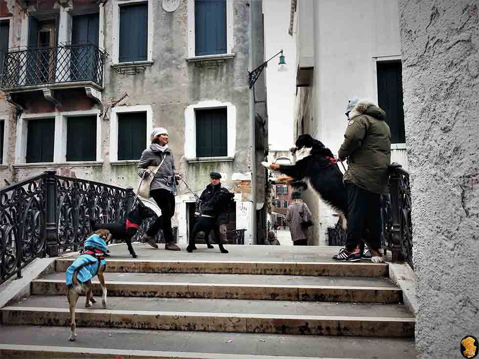 Кастелло