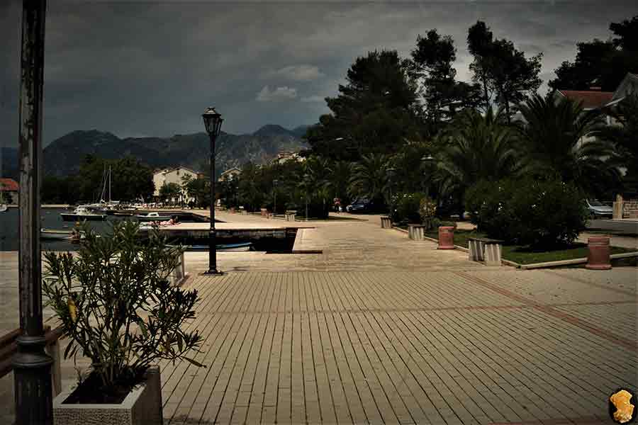 Институт биологии моря