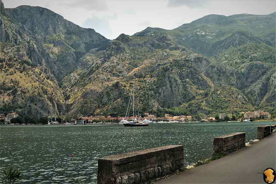 Муо